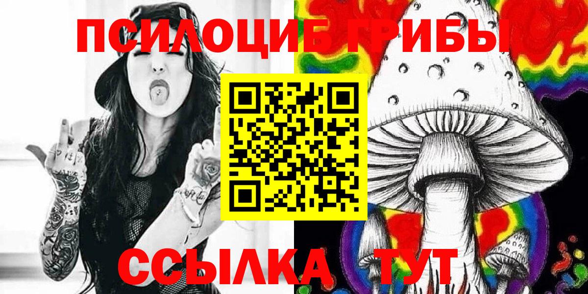 Коряжма  Галлюциногенные грибы Psilocybine cubensis  как найти   Вход с VPN 